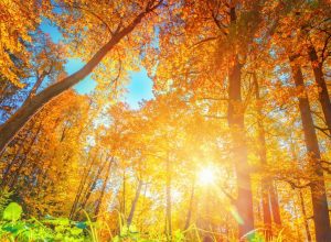 ou partir en Octobre ?